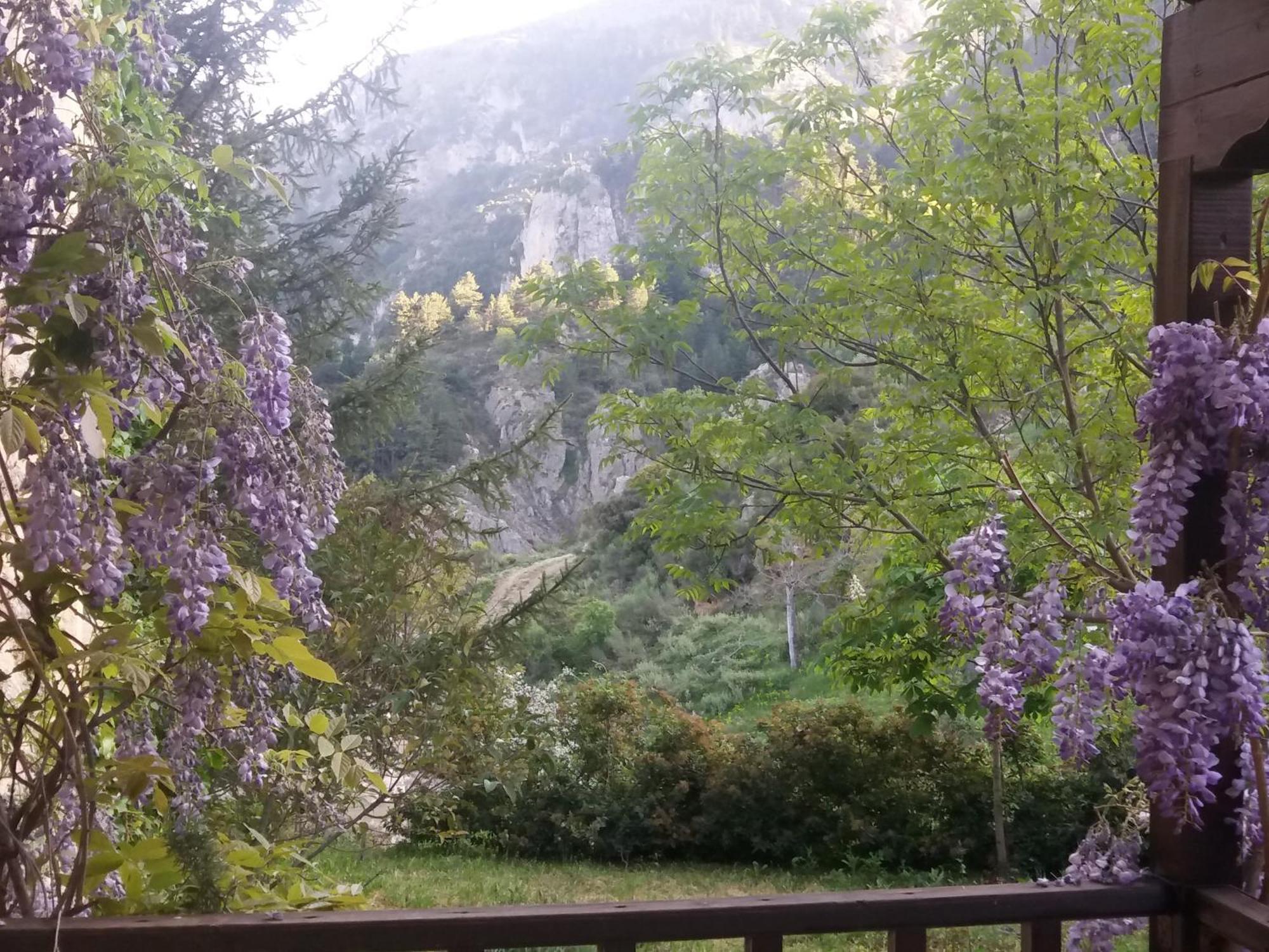Εν Αρχή - En Arhi Βίλα Άνω Τρίκαλα Εξωτερικό φωτογραφία