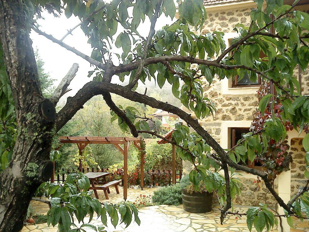 Εν Αρχή - En Arhi Βίλα Άνω Τρίκαλα Δωμάτιο φωτογραφία